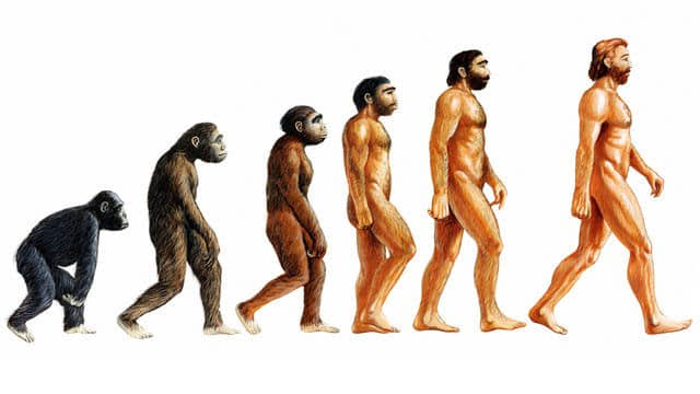 teoria de la evolucion